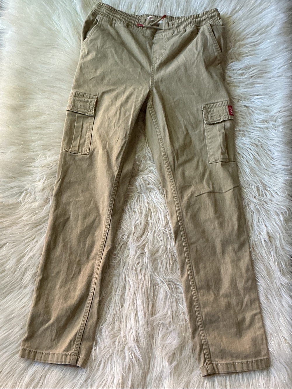 Levi's boys Tan Cargo Pants with Elastic Waist